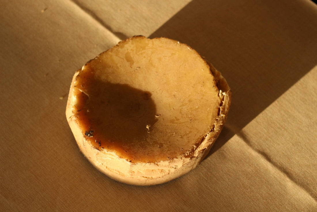 The Beeswax Guide: Where to Buy Quality Beeswax - BZZWAX