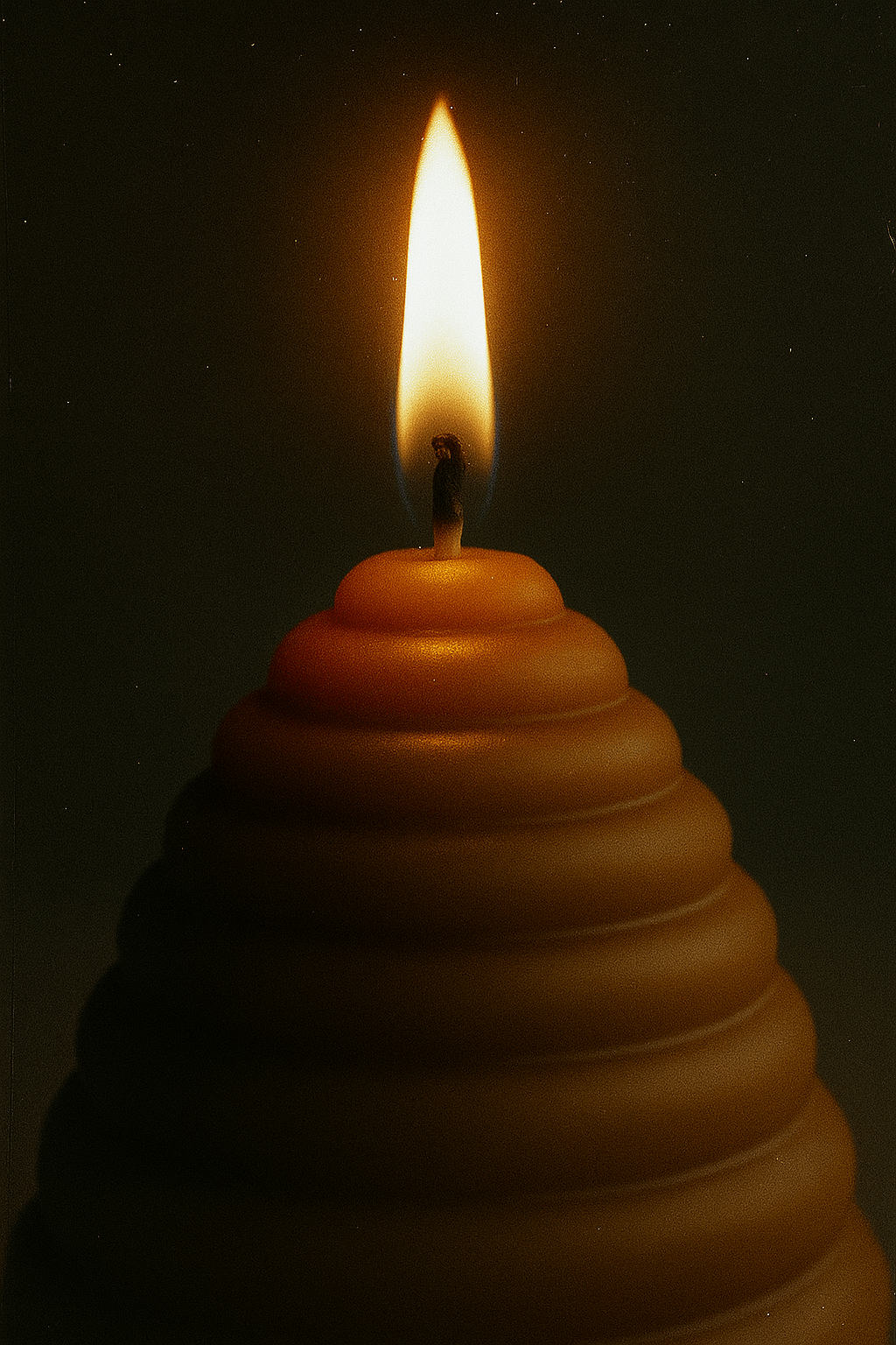 Beeswax Pillar Candles - The Hive - BZZWAX
